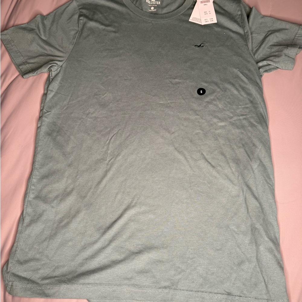 Hollister Men's Mint Green Short Sleeve Tee